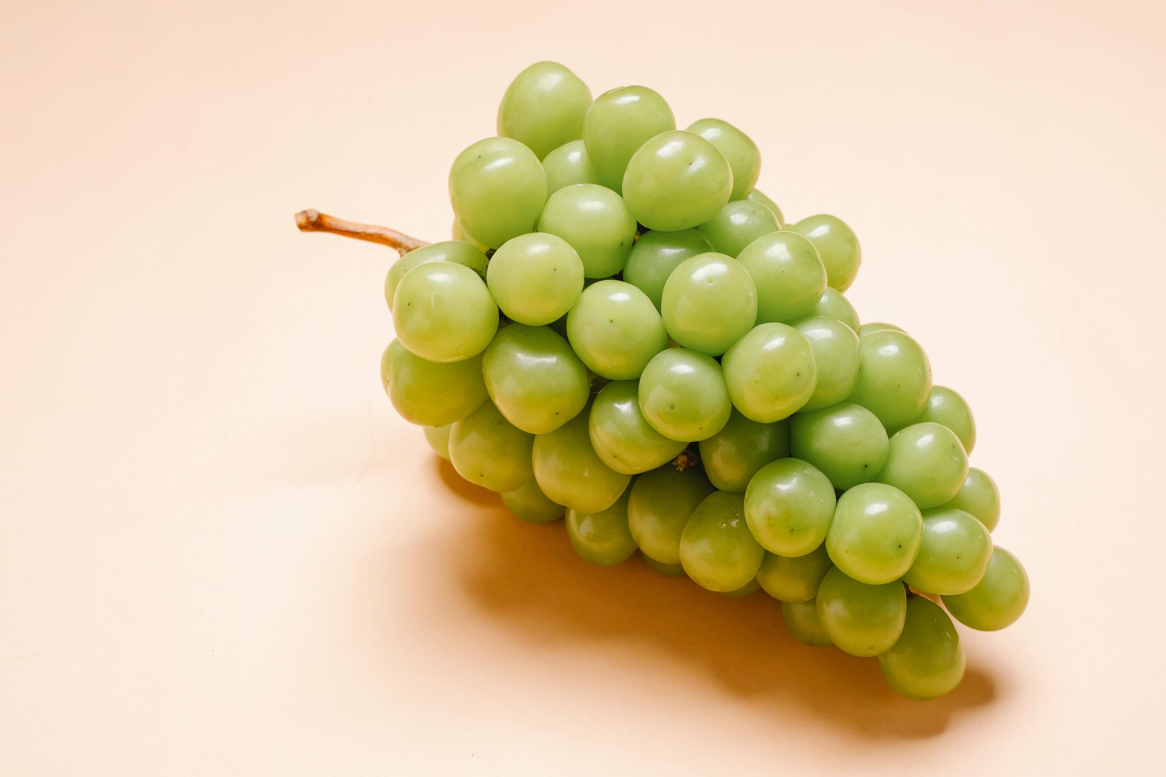 Fruit & Vegetable Washer Machine: Working, Applications & Advantages